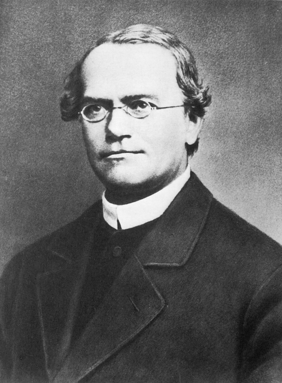 Decoding Life: Gregor Mendel's Enduring Legacy in Heredity Laws